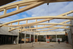 haveloh_Fischbauchbinder001